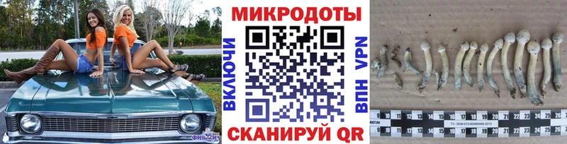 Галлюциногенные грибы прущие грибы  блэк спрут ССЫЛКА  Сорск  наркотики 